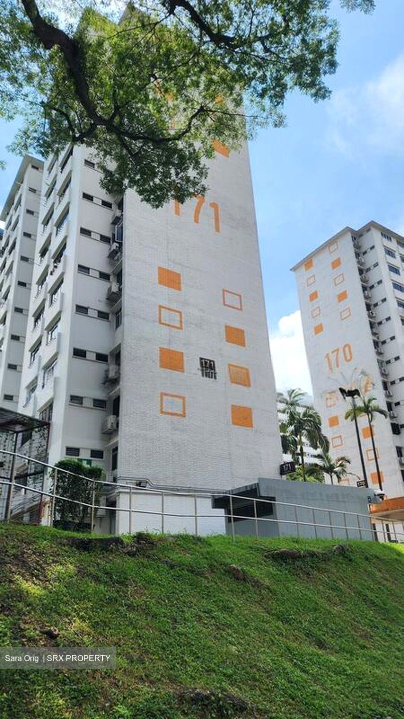 Blk 171 Stirling View (Queenstown), HDB 3 Rooms #504593711